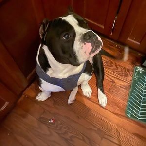 Meet your Posher, Nakia